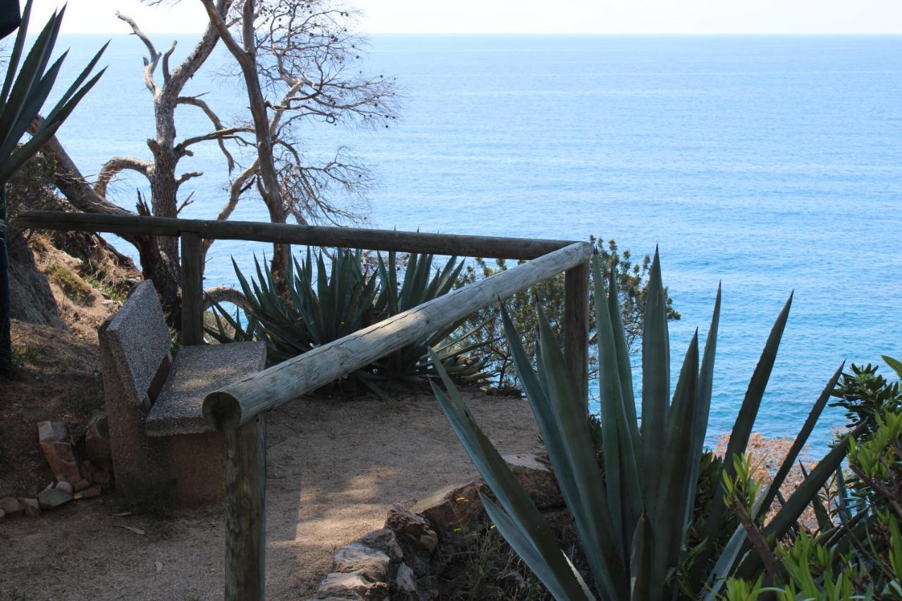 Apartamento A 100M De La Playa 滨海托萨 外观 照片